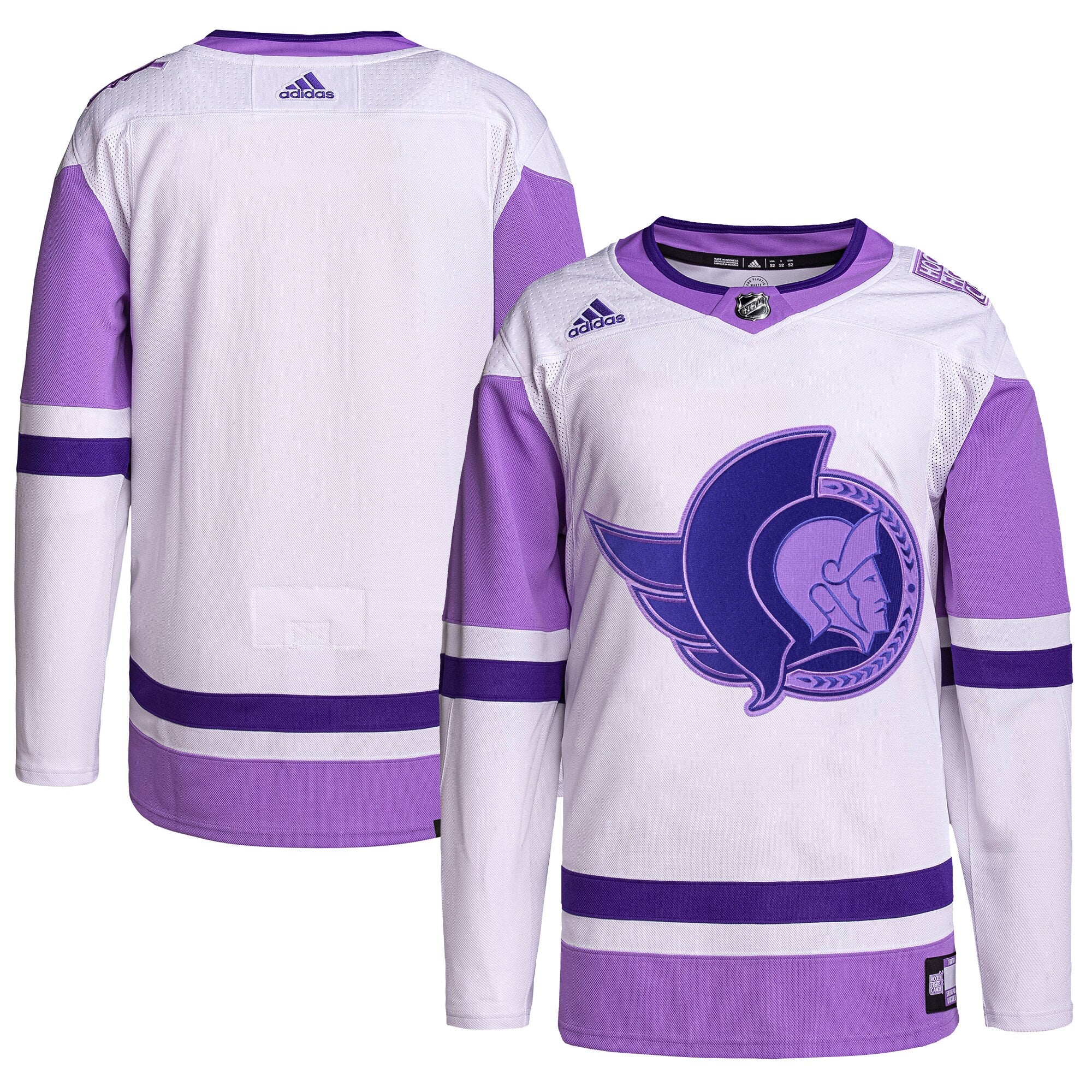 Ottawa Senators Hockey Fights Cancer Primegreen Authentic Blank Practice Jersey - White/Purple